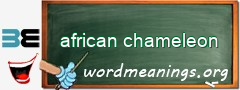 WordMeaning blackboard for african chameleon